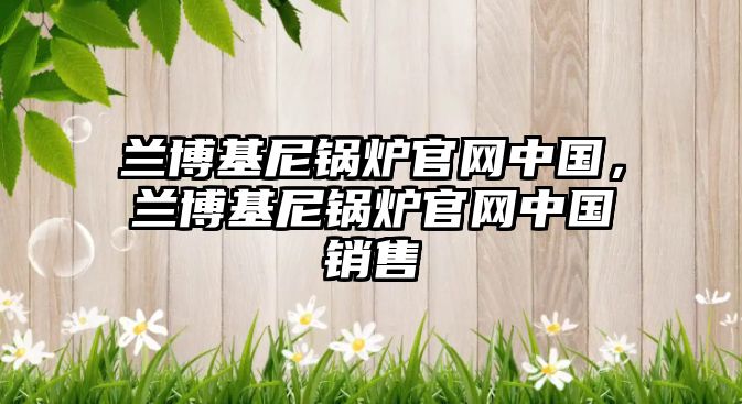 蘭博基尼鍋爐官網(wǎng)中國，蘭博基尼鍋爐官網(wǎng)中國銷售