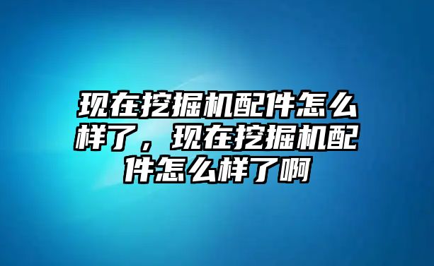 現(xiàn)在挖掘機(jī)配件怎么樣了，現(xiàn)在挖掘機(jī)配件怎么樣了啊