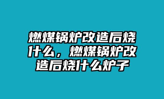 燃煤鍋爐改造后燒什么，燃煤鍋爐改造后燒什么爐子