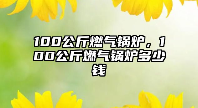 100公斤燃?xì)忮仩t，100公斤燃?xì)忮仩t多少錢