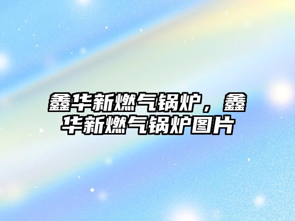 鑫華新燃?xì)忮仩t，鑫華新燃?xì)忮仩t圖片