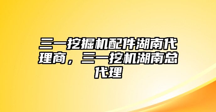 三一挖掘機(jī)配件湖南代理商，三一挖機(jī)湖南總代理