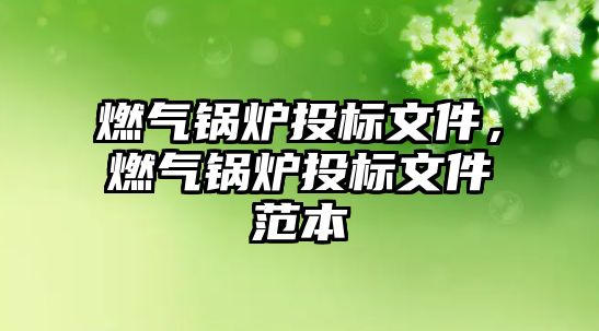 燃?xì)忮仩t投標(biāo)文件，燃?xì)忮仩t投標(biāo)文件范本