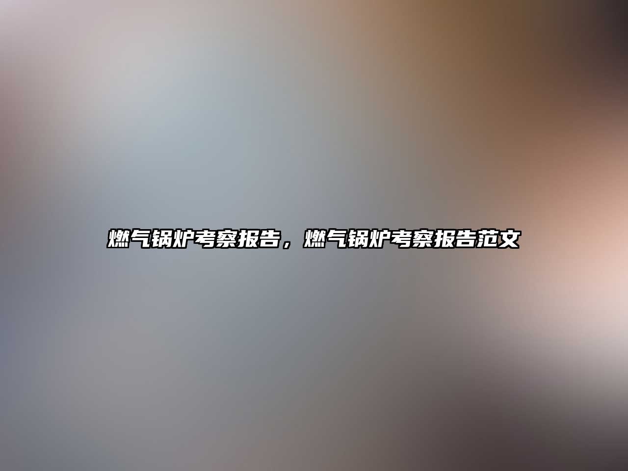 燃?xì)忮仩t考察報告，燃?xì)忮仩t考察報告范文