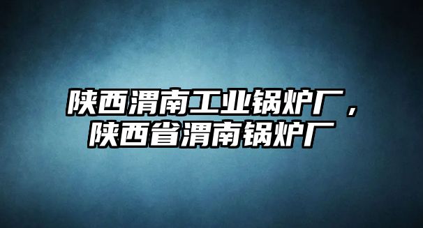 陜西渭南工業(yè)鍋爐廠，陜西省渭南鍋爐廠