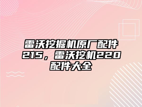 雷沃挖掘機(jī)原廠配件215，雷沃挖機(jī)220配件大全