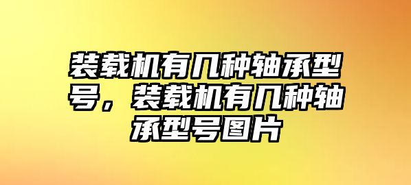 裝載機(jī)有幾種軸承型號(hào)，裝載機(jī)有幾種軸承型號(hào)圖片