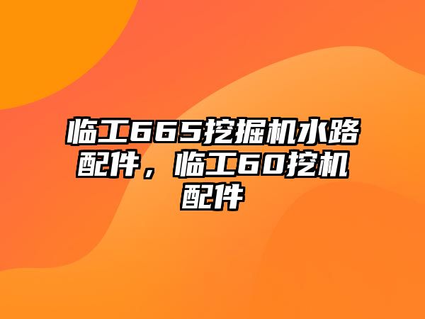 臨工665挖掘機(jī)水路配件，臨工60挖機(jī)配件