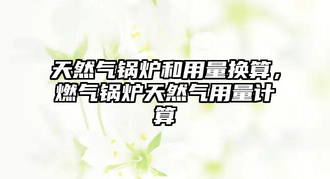 天然氣鍋爐和用量換算，燃?xì)忮仩t天然氣用量計(jì)算