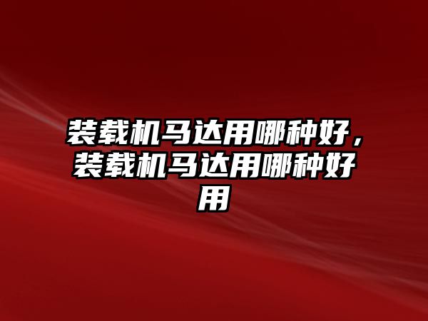 裝載機馬達用哪種好，裝載機馬達用哪種好用