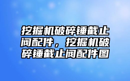 挖掘機破碎錘截止閥配件，挖掘機破碎錘截止閥配件圖