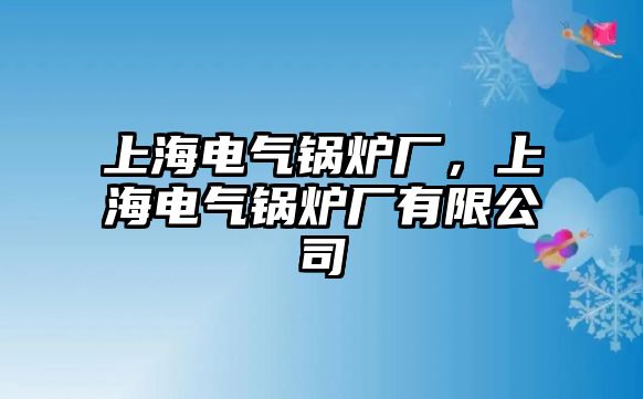 上海電氣鍋爐廠，上海電氣鍋爐廠有限公司