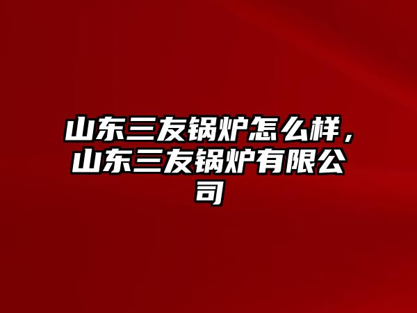 山東三友鍋爐怎么樣，山東三友鍋爐有限公司