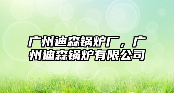 廣州迪森鍋爐廠，廣州迪森鍋爐有限公司