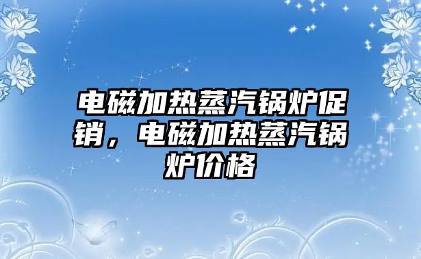 電磁加熱蒸汽鍋爐促銷，電磁加熱蒸汽鍋爐價(jià)格