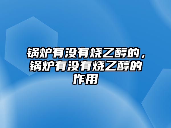 鍋爐有沒(méi)有燒乙醇的，鍋爐有沒(méi)有燒乙醇的作用