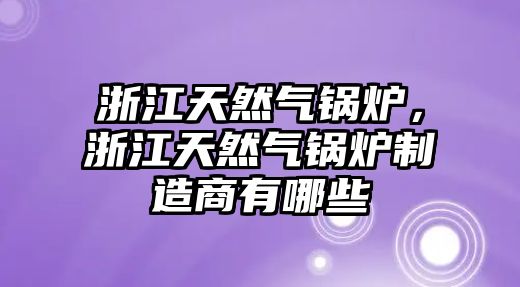 浙江天然氣鍋爐，浙江天然氣鍋爐制造商有哪些