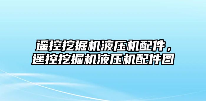 遙控挖掘機(jī)液壓機(jī)配件，遙控挖掘機(jī)液壓機(jī)配件圖