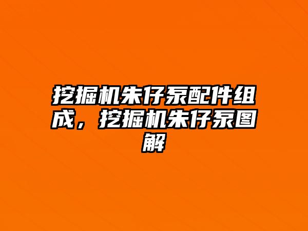 挖掘機朱仔泵配件組成，挖掘機朱仔泵圖解