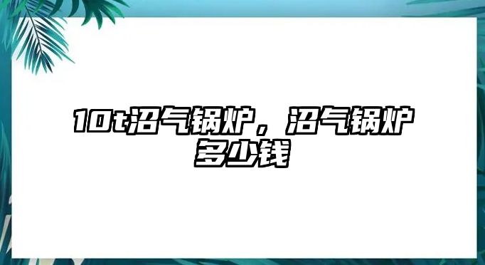 10t沼氣鍋爐，沼氣鍋爐多少錢