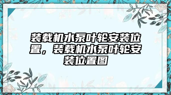 裝載機水泵葉輪安裝位置，裝載機水泵葉輪安裝位置圖