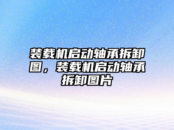 裝載機啟動軸承拆卸圖，裝載機啟動軸承拆卸圖片