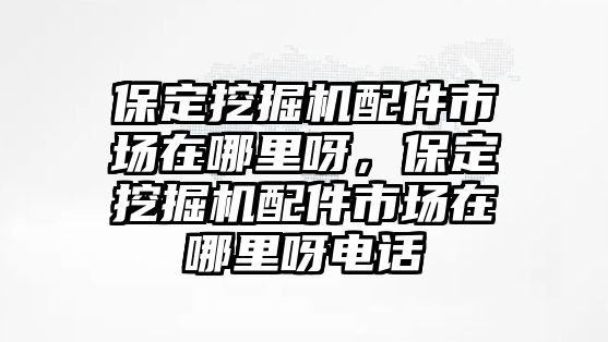 保定挖掘機配件市場在哪里呀，保定挖掘機配件市場在哪里呀電話