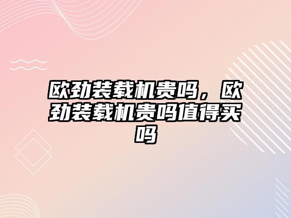 歐勁裝載機貴嗎，歐勁裝載機貴嗎值得買嗎