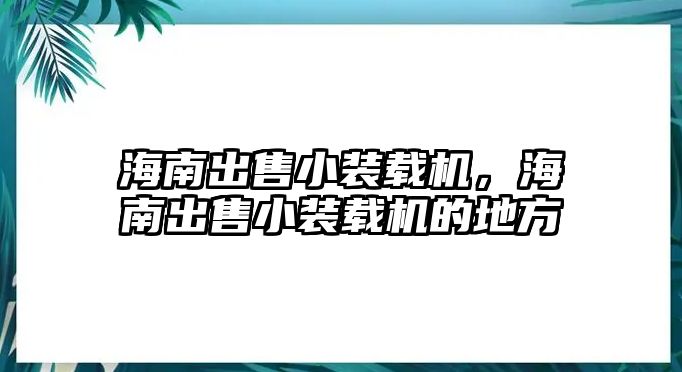 海南出售小裝載機(jī)，海南出售小裝載機(jī)的地方