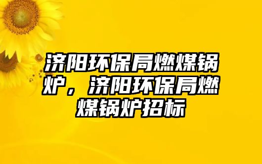 濟(jì)陽(yáng)環(huán)保局燃煤鍋爐，濟(jì)陽(yáng)環(huán)保局燃煤鍋爐招標(biāo)