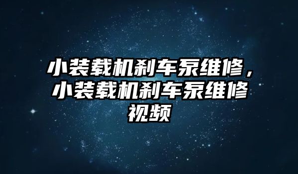 小裝載機剎車泵維修，小裝載機剎車泵維修視頻