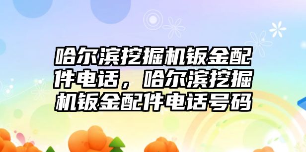 哈爾濱挖掘機(jī)鈑金配件電話，哈爾濱挖掘機(jī)鈑金配件電話號(hào)碼