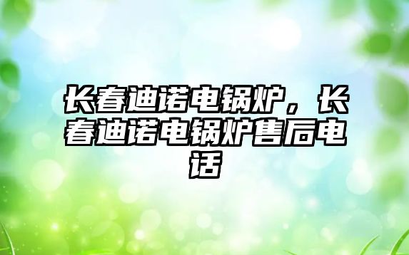 長春迪諾電鍋爐，長春迪諾電鍋爐售后電話