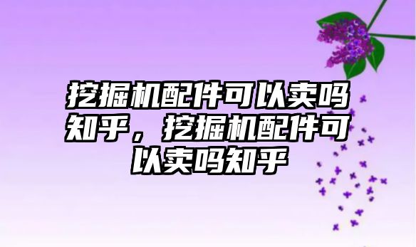 挖掘機配件可以賣嗎知乎，挖掘機配件可以賣嗎知乎