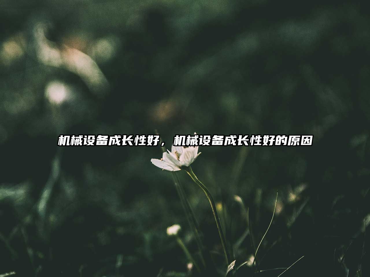 機(jī)械設(shè)備成長(zhǎng)性好，機(jī)械設(shè)備成長(zhǎng)性好的原因