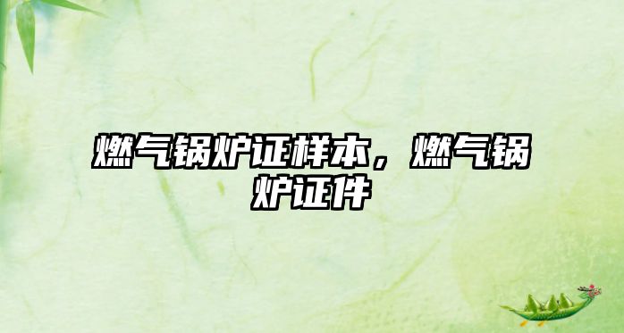 燃?xì)忮仩t證樣本，燃?xì)忮仩t證件