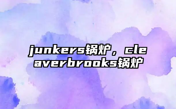 junkers鍋爐，cleaverbrooks鍋爐