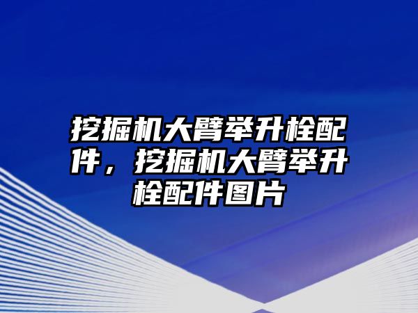 挖掘機(jī)大臂舉升栓配件，挖掘機(jī)大臂舉升栓配件圖片