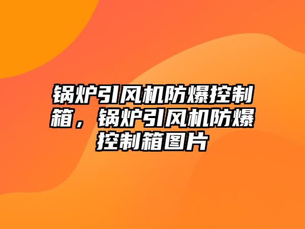 鍋爐引風(fēng)機防爆控制箱，鍋爐引風(fēng)機防爆控制箱圖片