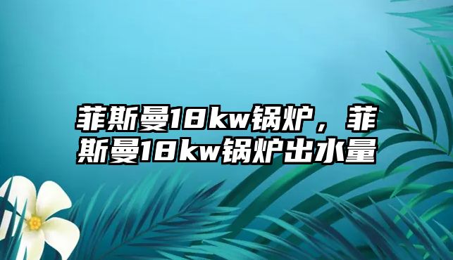 菲斯曼18kw鍋爐，菲斯曼18kw鍋爐出水量