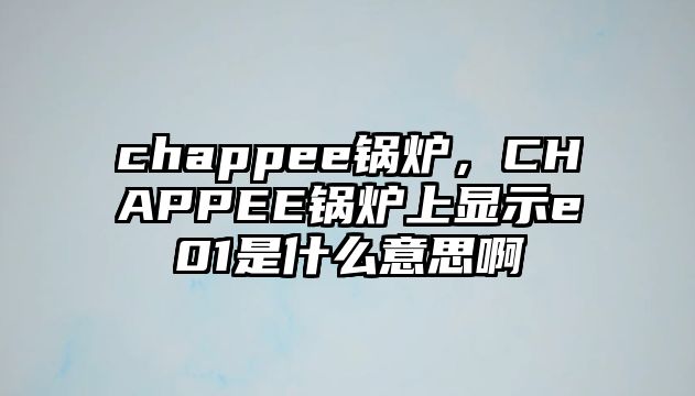 chappee鍋爐，CHAPPEE鍋爐上顯示e01是什么意思啊