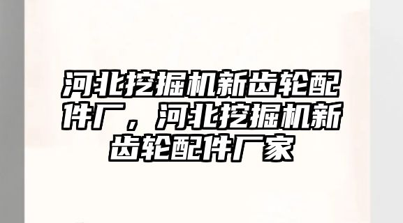 河北挖掘機新齒輪配件廠，河北挖掘機新齒輪配件廠家