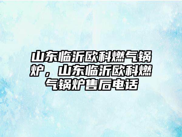 山東臨沂歐科燃氣鍋爐，山東臨沂歐科燃氣鍋爐售后電話