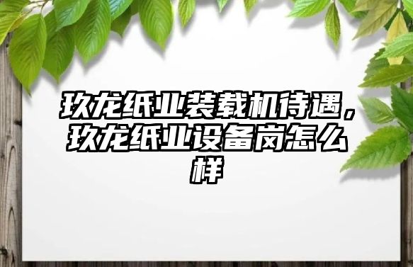 玖龍紙業(yè)裝載機(jī)待遇，玖龍紙業(yè)設(shè)備崗怎么樣