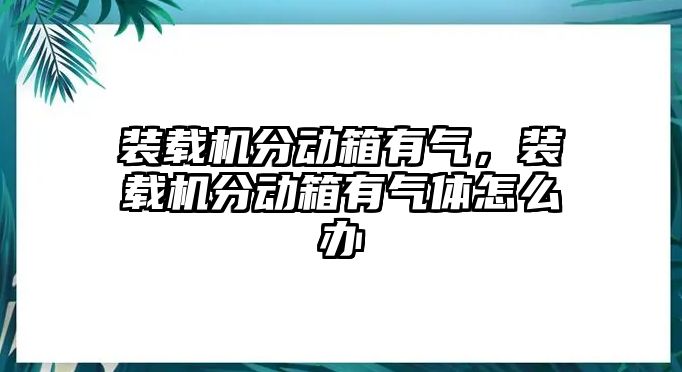 裝載機(jī)分動(dòng)箱有氣，裝載機(jī)分動(dòng)箱有氣體怎么辦