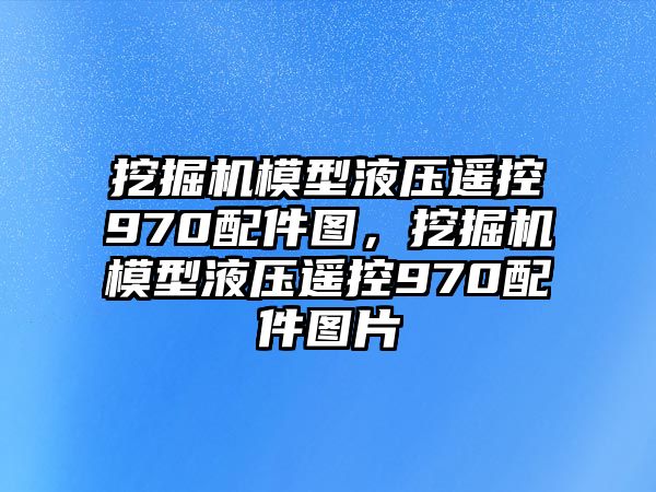 挖掘機(jī)模型液壓遙控970配件圖，挖掘機(jī)模型液壓遙控970配件圖片