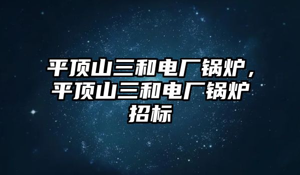 平頂山三和電廠鍋爐，平頂山三和電廠鍋爐招標