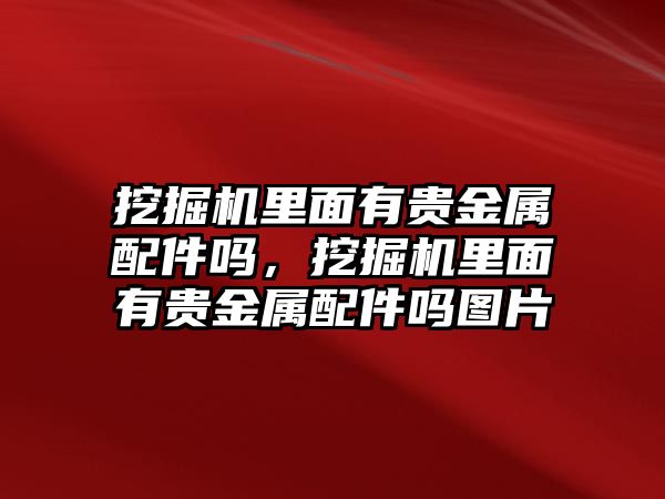 挖掘機里面有貴金屬配件嗎，挖掘機里面有貴金屬配件嗎圖片