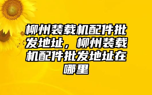 柳州裝載機(jī)配件批發(fā)地址，柳州裝載機(jī)配件批發(fā)地址在哪里