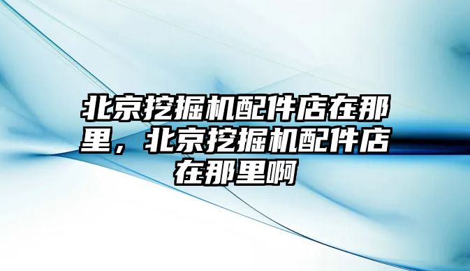 北京挖掘機(jī)配件店在那里，北京挖掘機(jī)配件店在那里啊